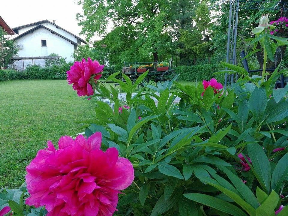 B&B Villa Una Bihać Exteriör bild